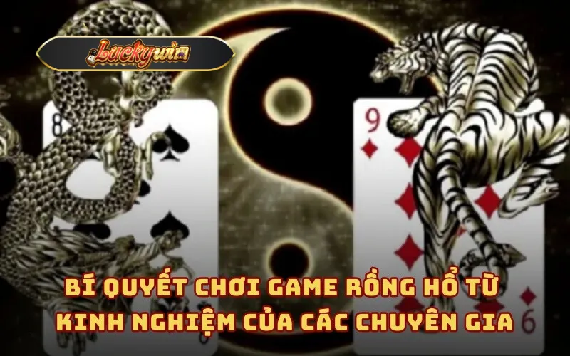 Bí quyết chơi game Rồng Hổ từ kinh nghiệm của các chuyên gia