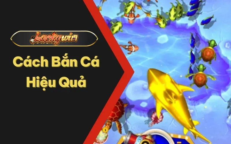 Cách bắn cá hiệu quả