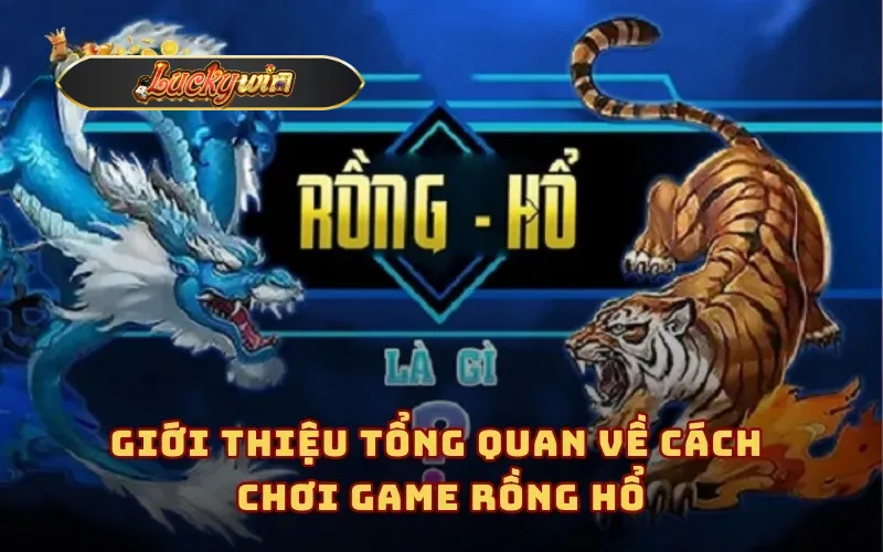 Giới thiệu tổng quan về cách chơi game Rồng Hổ