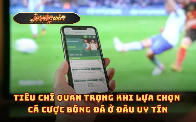 Tiêu chí quan trọng khi lựa chọn cá cược bóng đá ở đâu uy tín