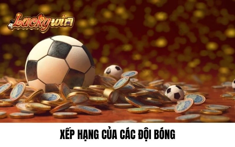 Xếp hạng của các đội bóng