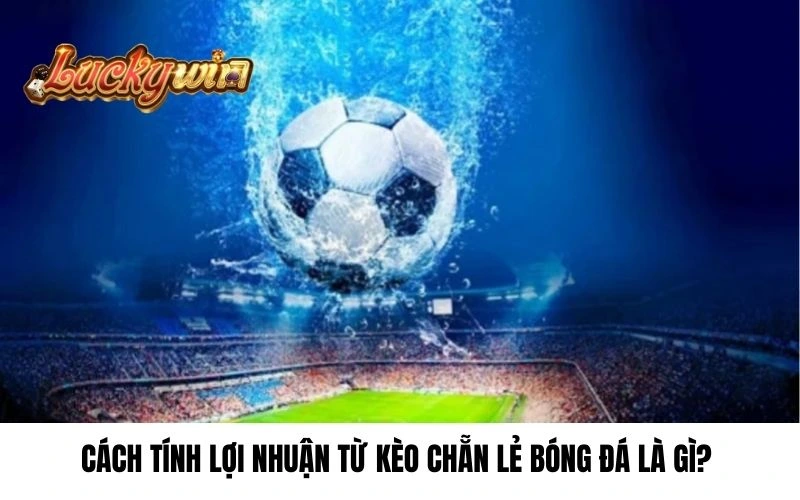 Cách tính lợi nhuận từ kèo chẵn lẻ bóng đá là gì? 