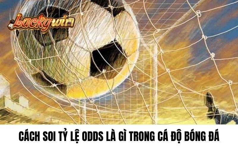 Cách soi tỷ lệ Odds là gì trong cá độ bóng đá