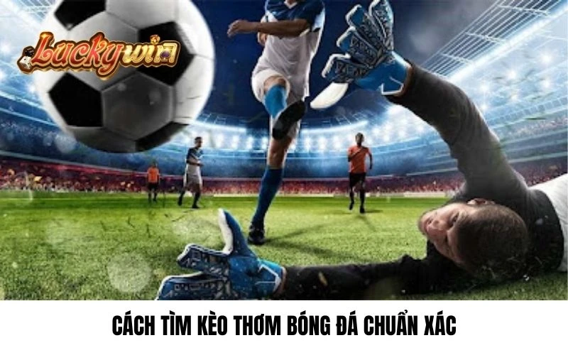 Cách tìm kèo thơm bóng đá chuẩn xác