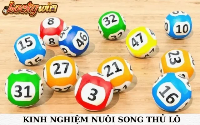 Kinh nghiệm nuôi song thủ lô luckywin