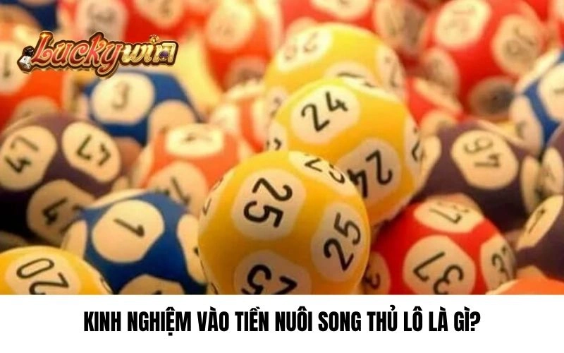 Kinh nghiệm vào tiền nuôi song thủ lô là gì?