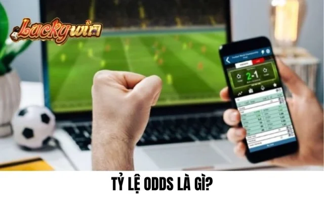 Tỷ Lệ Odds Là Gì