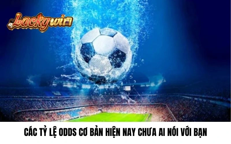 Các tỷ lệ Odds cơ bản hiện nay chưa ai nói với bạn